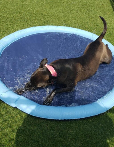 Playing in the pool